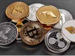 2026年1月最值得购买的5种山寨币汇总