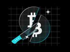 比特币减半详解：为什么大买家会在减半事件发生前很久就开始囤货？