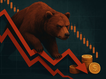 如何在熊市中生存？币圈新手必备资金管理技巧与策略