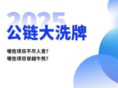 2025公链大洗牌：哪些项目不尽人意？哪些项目值得你穿越牛熊？