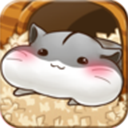 仓鼠的生活手游正版(模拟养成游戏) v4.7.7 安卓版