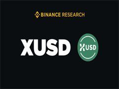 什么是StraitsX USD？ (XUSD）币？XUSD特点、团队与区域应用场景