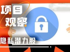 2026隐私潜力股：哪些项目正在真正获得市场的青睐？