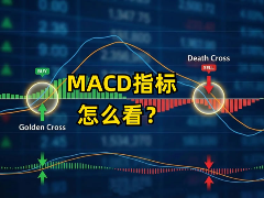 MACD指标怎么看？新手如何利用金叉和死叉判断买卖点？