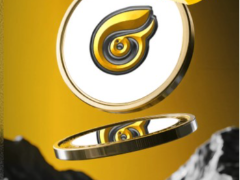 SIGHT上市后价格暴跌的主要原因