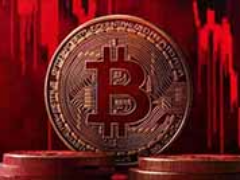 新币合约地址有什么用途？合约地址是固定的吗？