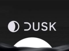 什么是Dusk Network(DUSK)币？怎么样？Dusk代币经济和前景分析