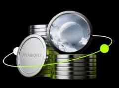 什么是雪球(XUEQIU)币？运作方式是什么？基于雪球效应的BSC Meme币解析