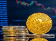 哪些平台最适合频繁进行加密货币交易？七大加密货币交易所对比介绍