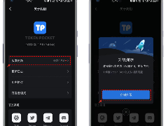 华为手机如何安装/更新TP(TokenPocket)钱包？