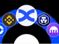 2026年初学者最佳10个加密货币现货交易平台 (入门首选)