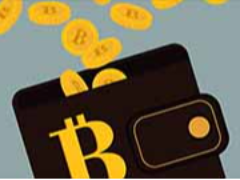 2026年主流加密货币钱包有哪些？钱包地址通用吗？