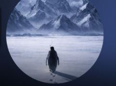 什么是PENGUIN币？怎么样？PENGUIN代币经济学和未来展望