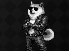 X Meme Dog（KABOSU）是什么？X Meme Dog价格分析