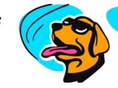 WOOF代币是什么？WOOF代币价格分析