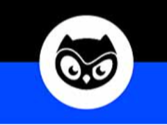 什么是Moonbirds (BIRB) NFT代币？运作原理、代币经济学介绍