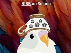 BIRB币是什么？BIRB价格预测2026, 2027–2030年