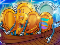 活跃的索拉纳币（Sol）地址激增115%，每10家商户中有4家接受比特币（BTC）：月度图表