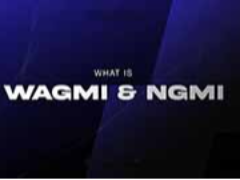 币圈WAGMI 和 NGMI是什么？加密货币俚语详解