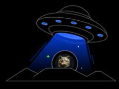 CopperInu (COPPERINU)币是什么？如何购买？运作方式、代币经济学介绍