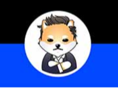 什么是Dogelon Mars (ELON)币？运作方式、代币用途介绍