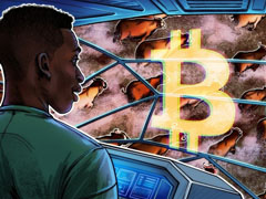 比特币（BTC）的下一轮牛市可能并非源于更“宽松的政策”