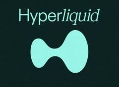 是什么让HYPE币逆势上涨？HYPE能涨到多少？一文详解