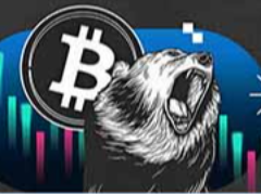 比特币价格为何下跌？比特币熊市何时结束？