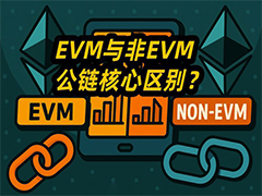 深度解析EVM与非EVM公链核心区别：加密新手资产部署与选链的终极指南