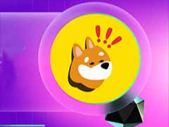 Bonk Coin是什么？为何流行？运作方式、市场地位解析