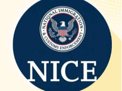 2026年NICE展望：价格下跌后会再度上涨吗？