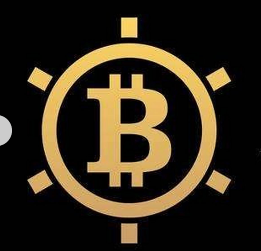 什么是比特币金库 (BTCV)？BTCV代币经济学、与比特币关系以及风险分析