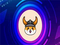 什么是FLOKI币？FLOKI价格预测、 未来前景及购买方法