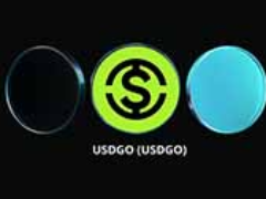 USDGO（USDGO）币是什么？创建者、运作方式以及代币经济学介绍