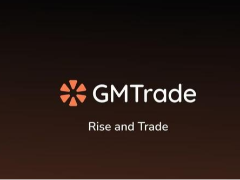 详解GMTrade 协议：Solana 链上第三大 Perp DEX