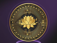 BDT上市后价格走势分析：比特马特看涨！