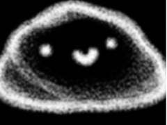 RUCK现在值得购买吗？上升趋势是否可持续？