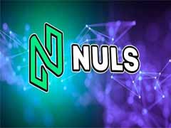 什么是NULS币？NULS工作原理、未来展望及价格预测