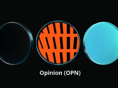 什么是Opinion (OPN) 加密项目？Opinion的未来发展