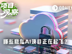 OpenClaw带货Venice，哪些隐私AI项目正在起飞？