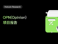 OPN（Opinion）项目报告：项目介绍、经济模型、团队与投资人