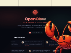 AI Agent时代来临：OpenClaw背后的加密投资逻辑