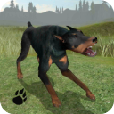 狗狗生存模拟器手游正版(动物模拟类游戏) Dog Survival Simulator v1.0 安卓版