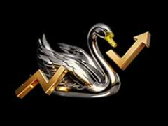 什么是黑天鹅事件？如何导致市场崩盘？加密历史上最大的黑天鹅事件盘点