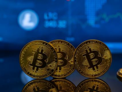 虚拟货币交易所2026排行：全球交易所排名+适合中国新人的交易所盘点