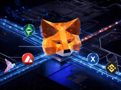 我可以在MetaMask钱包中添加自定义网络吗?如何操作?MetaMask网络添加教学