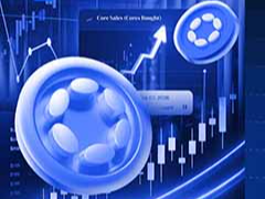 什么是 Polkadot (DOT)币？组成部分、优势和挑战，以及未来发展方向介绍