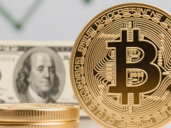 虚拟货币有哪些币种？怎么选？2026年10大热门币种差异全解析