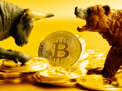 加密货币的牛市熊市是什么?一般有什么特征?2026年牛熊判断与投资指南