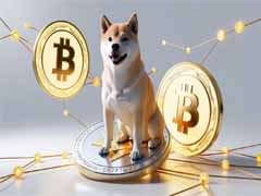 什么是柴犬币 (SHIB)？SHIB生态系统、未来展望及价格预测
